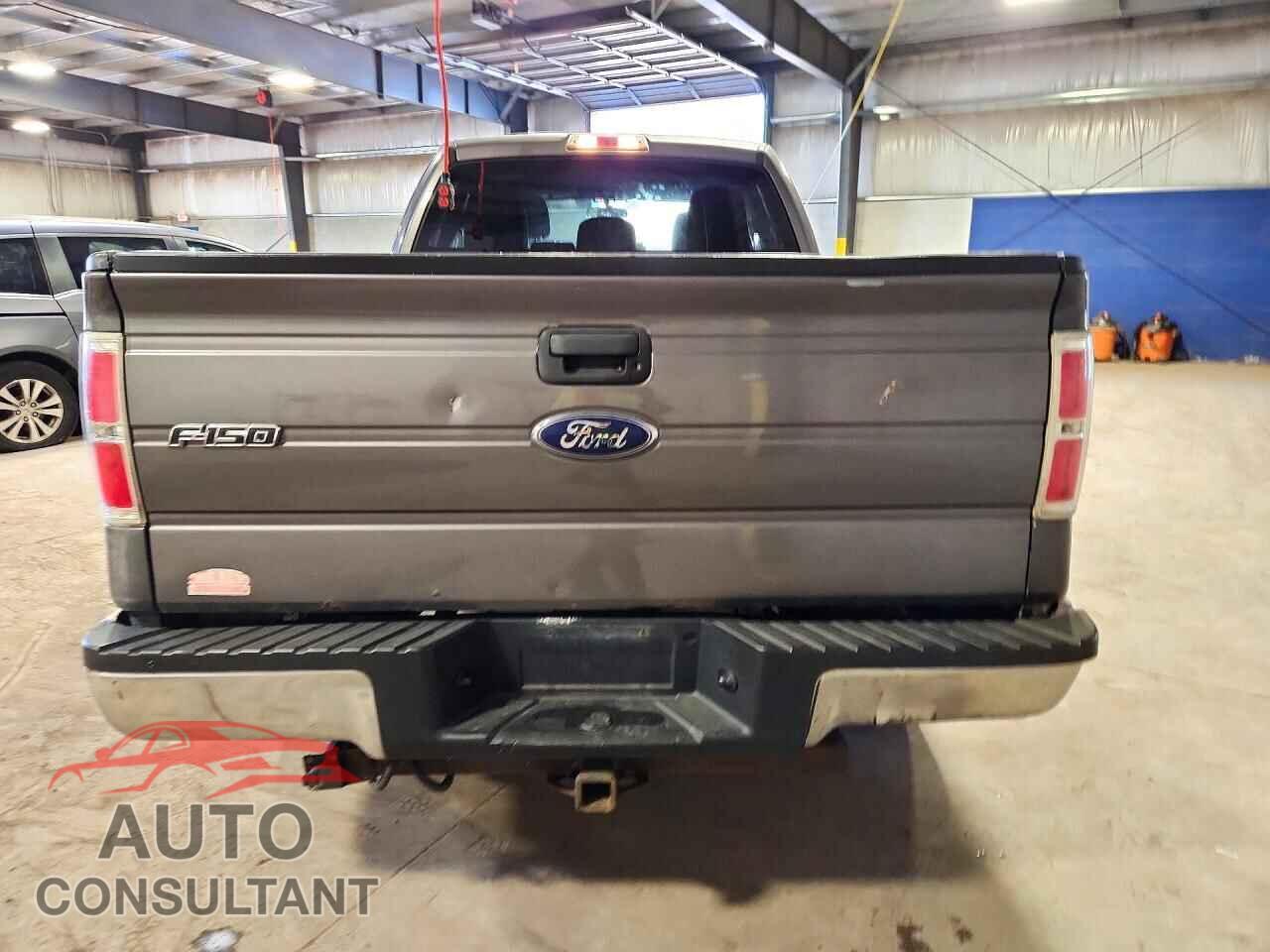 FORD F150 2011 - 1FTFX1EF8BFA08081
