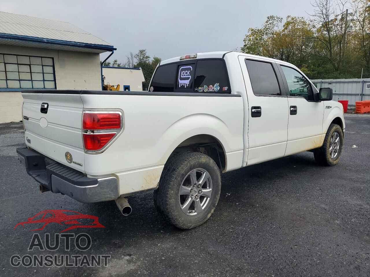 FORD F150 2011 - 1FTFW1EF7BFC64487