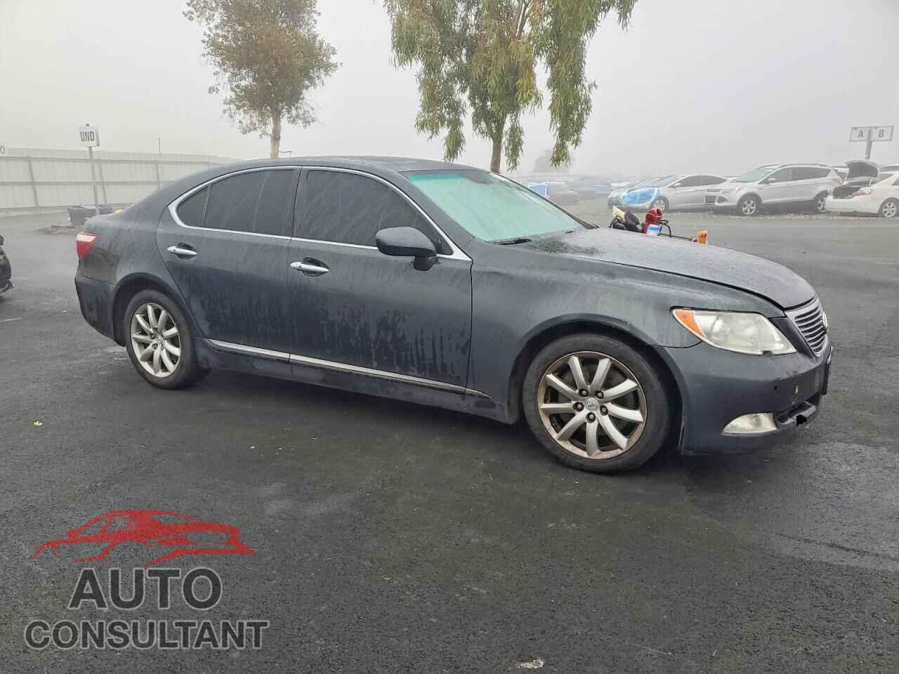 LEXUS LS460 2009 - JTHBL46FX95091375