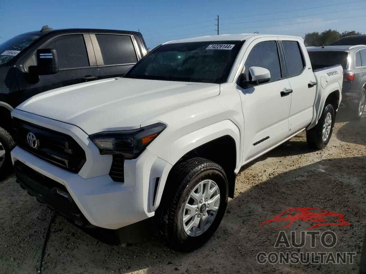 TOYOTA TACOMA 2024 - 3TYLB5JN0RT019399