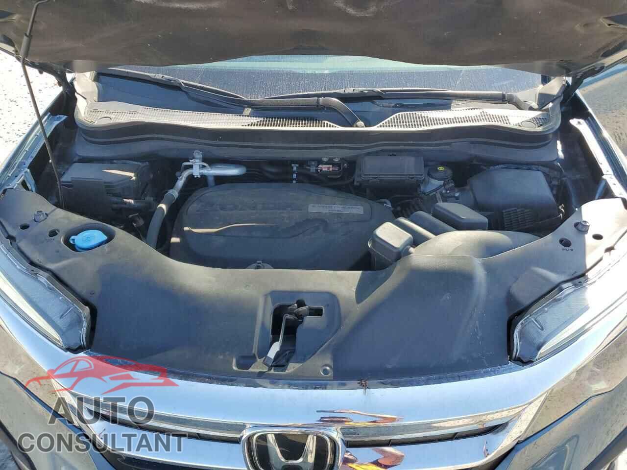 HONDA PILOT 2019 - 5FNYF5H55KB016584