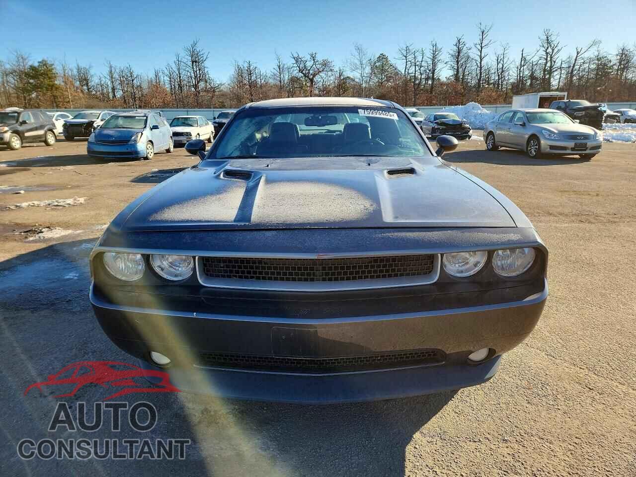DODGE CHALLENGER 2013 - 2C3CDYAG3DH642147