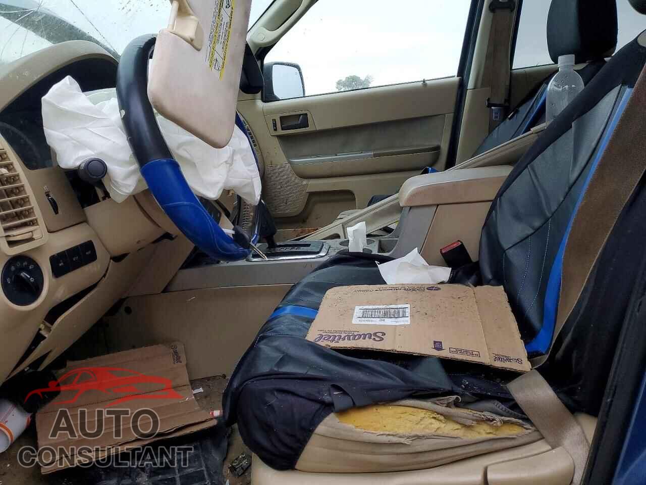 FORD ESCAPE 2010 - 1FMCU0D77AKB51587