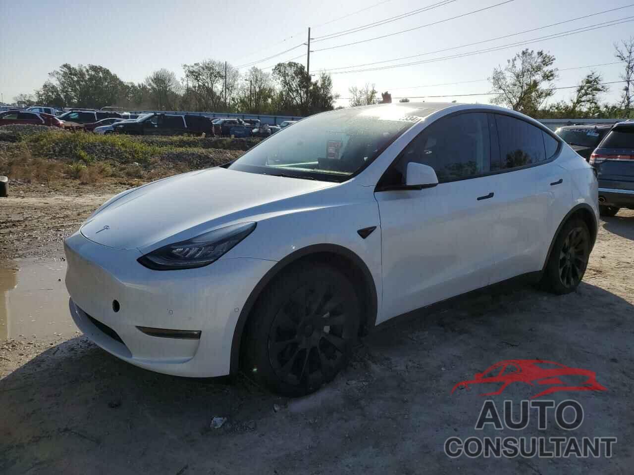 TESLA MODEL Y 2021 - 5YJYGDEE0MF173776