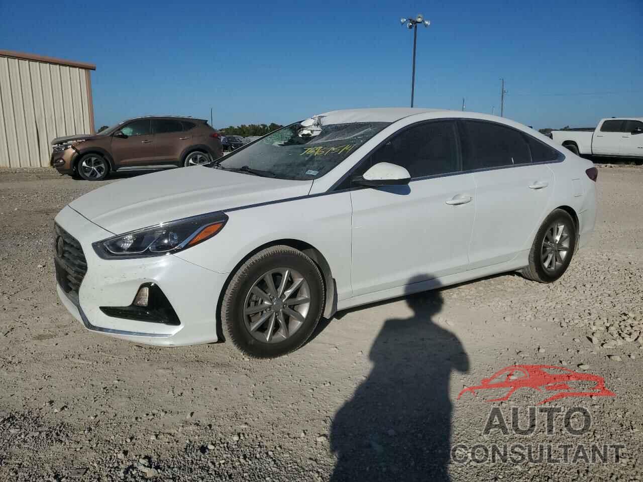 HYUNDAI SONATA 2018 - 5NPE24AF0JH695496