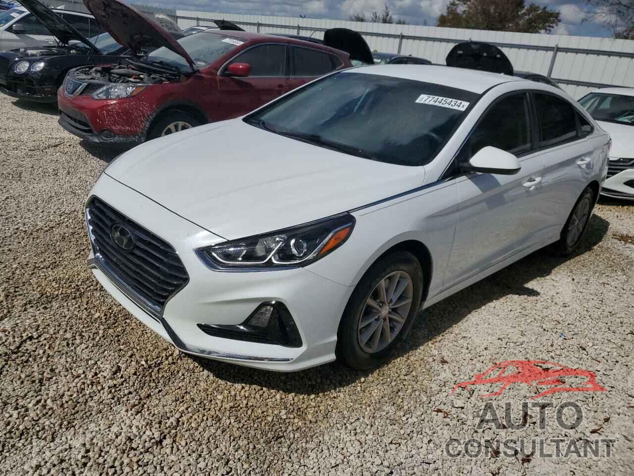 HYUNDAI SONATA 2019 - 5NPE24AF2KH744019