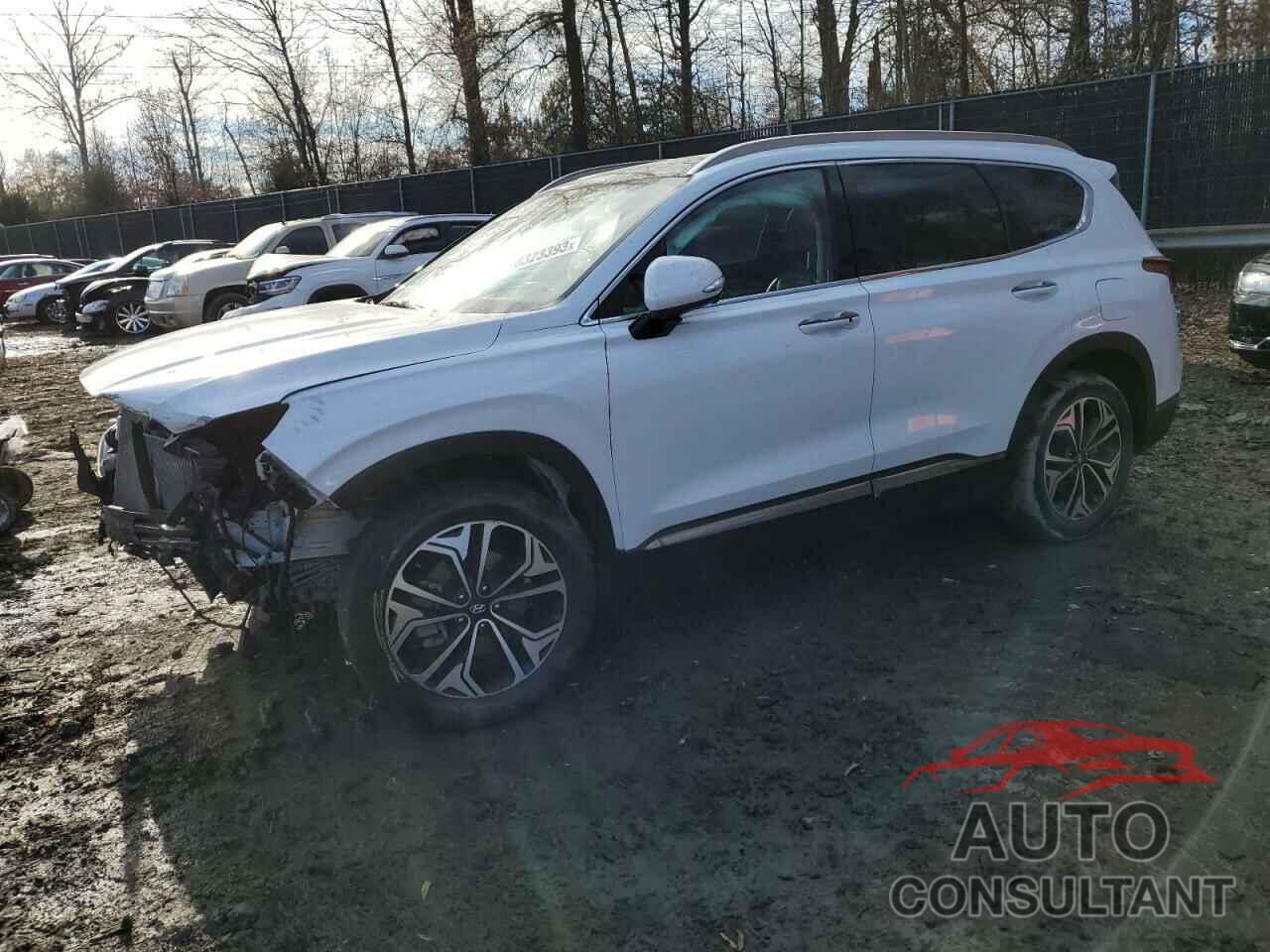 HYUNDAI SANTA FE 2020 - 5NMS5CAAXLH296992