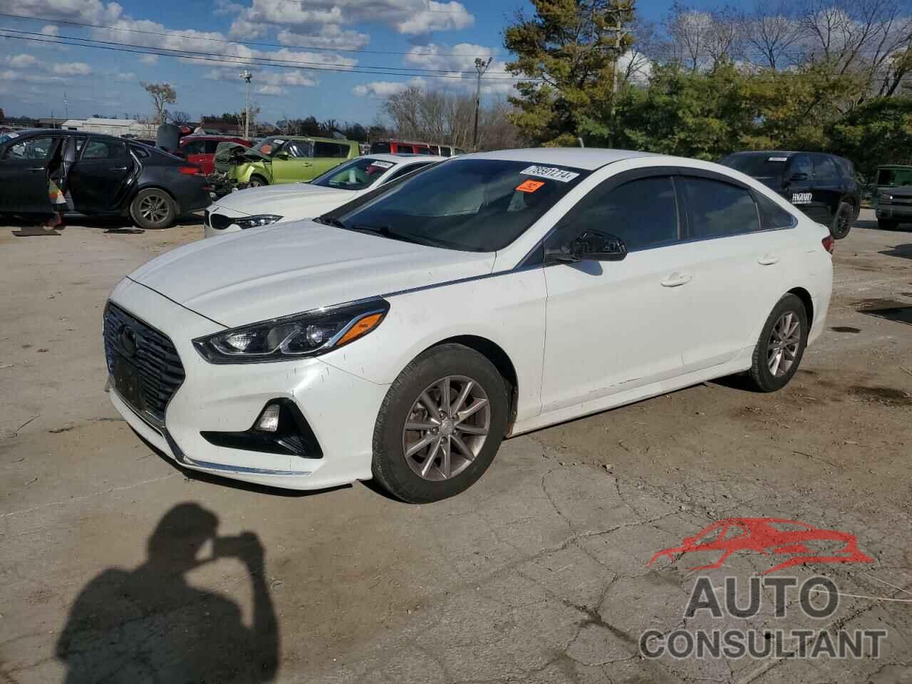 HYUNDAI SONATA 2019 - 5NPE24AF4KH785445