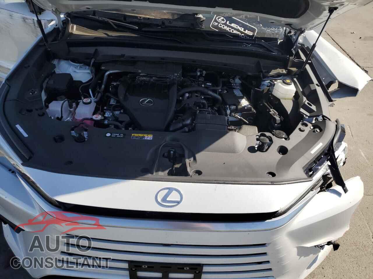 LEXUS TX 350 BAS 2025 - 5TDAAAA64SS013165