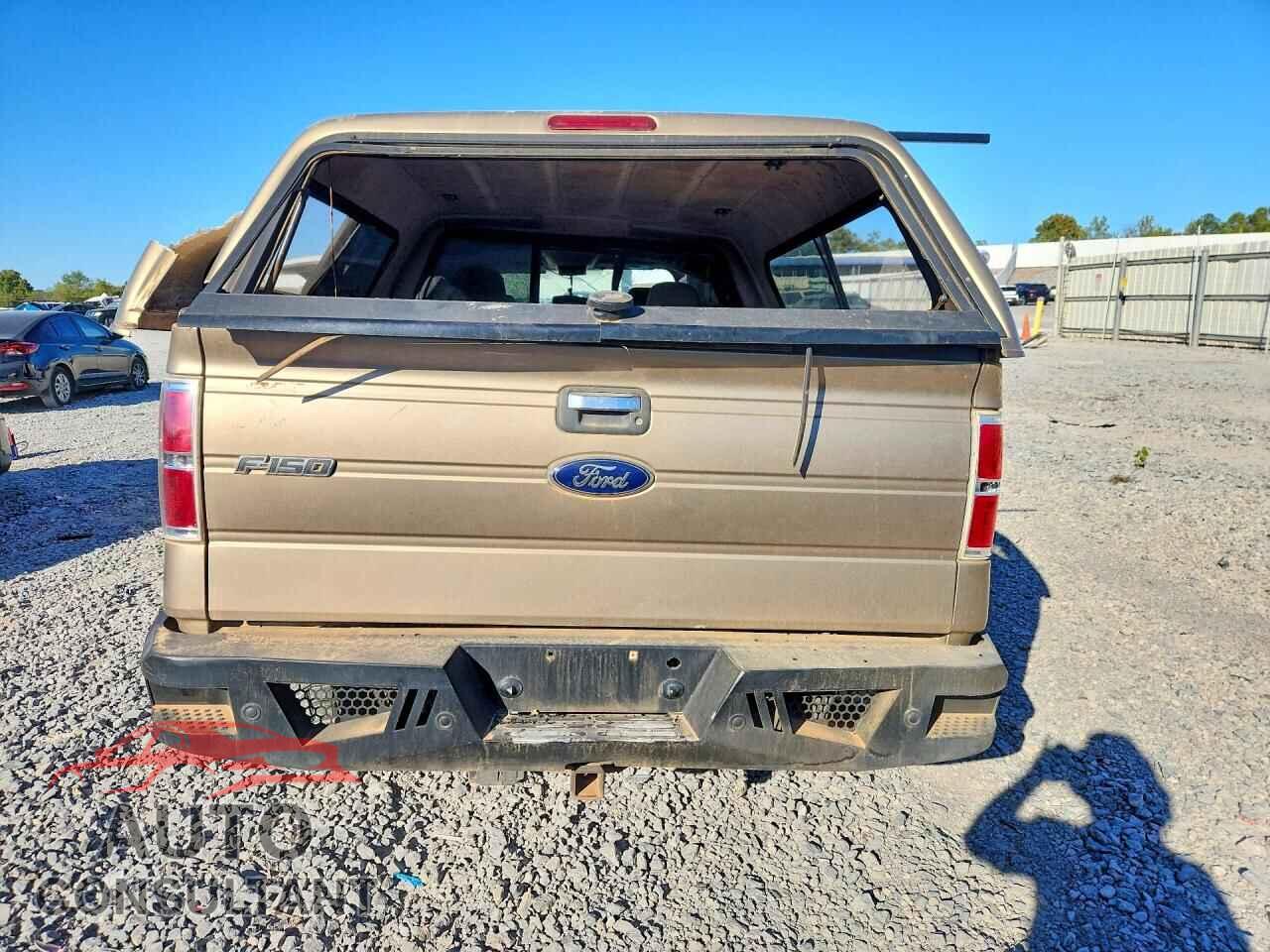 FORD F150 2013 - 1FTFX1ET8DFD94476