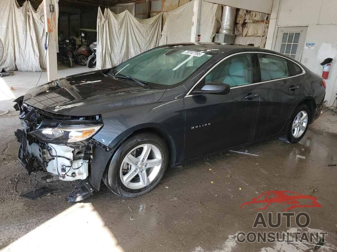 CHEVROLET MALIBU 2019 - 1G1ZC5STXKF171124
