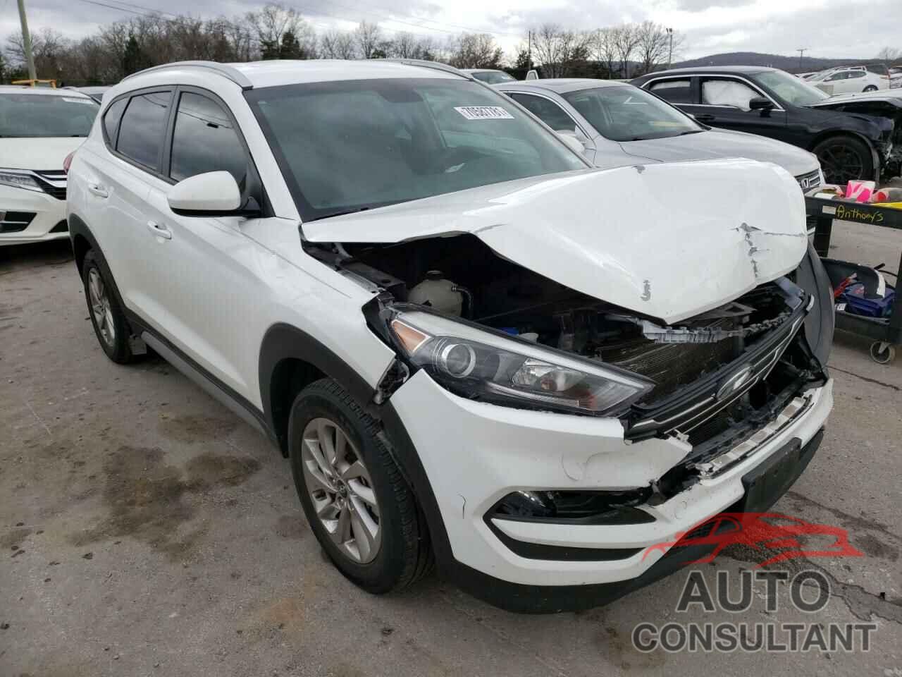 HYUNDAI TUCSON 2017 - KM8J33A41HU440016