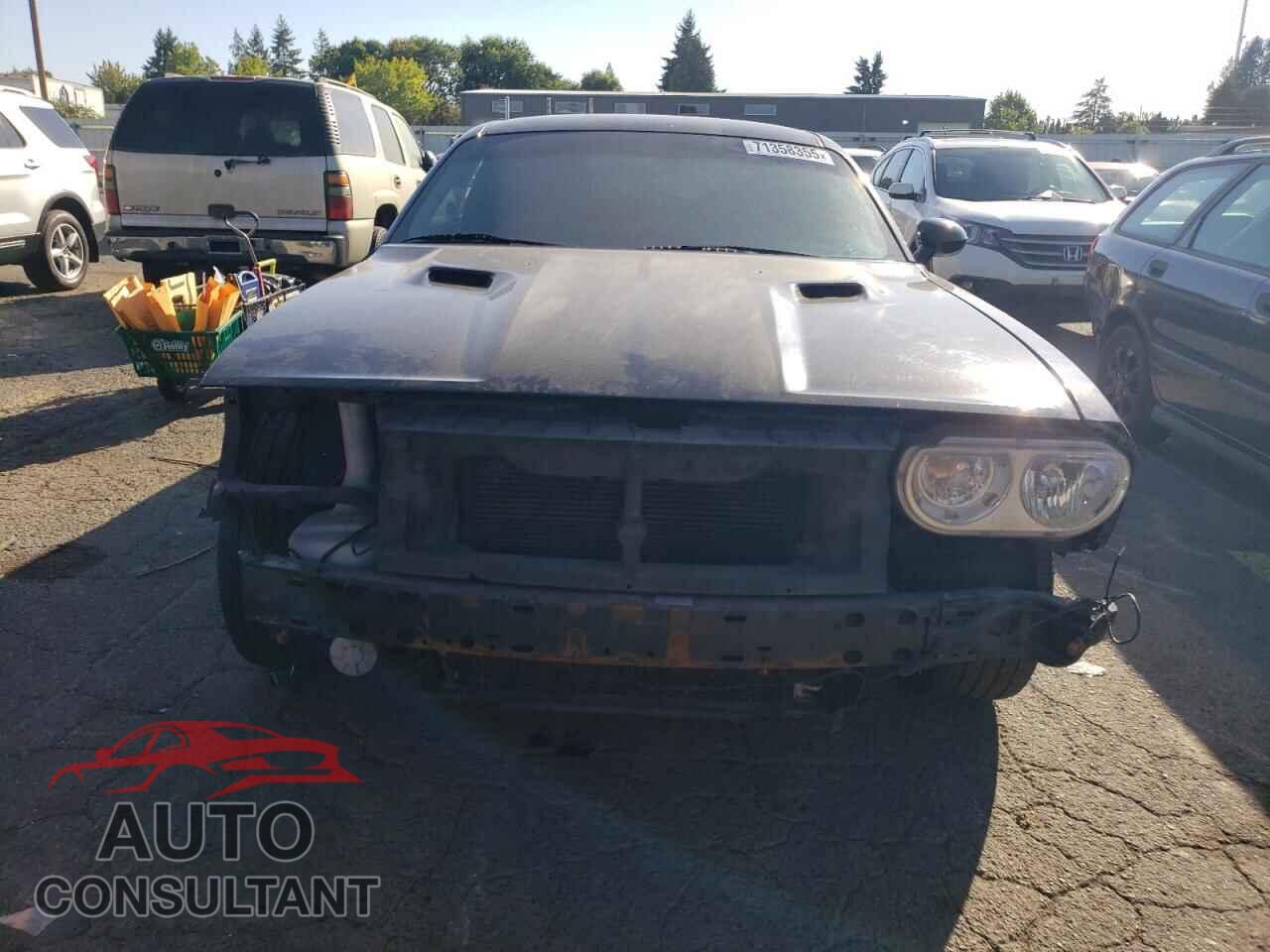DODGE CHALLENGER 2013 - 2C3CDYAG2DH510934
