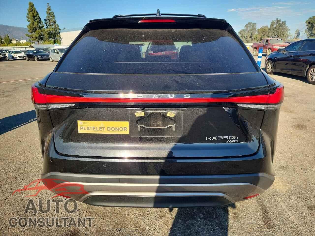 LEXUS RX350H 2023 - 2T2BBMCA5PC016088