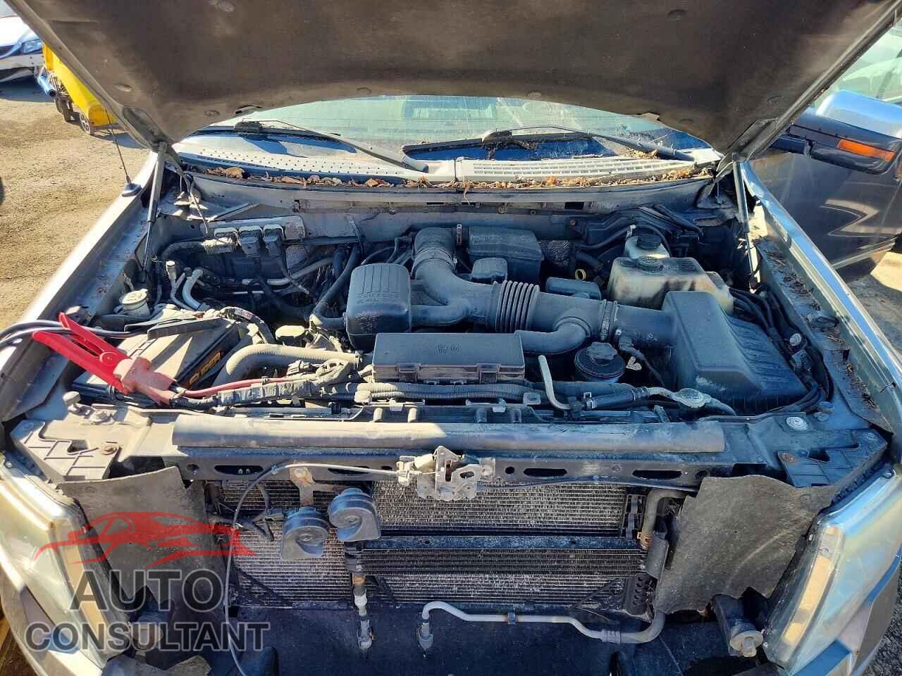 FORD F150 2010 - 1FTFW1EV8AFC84530