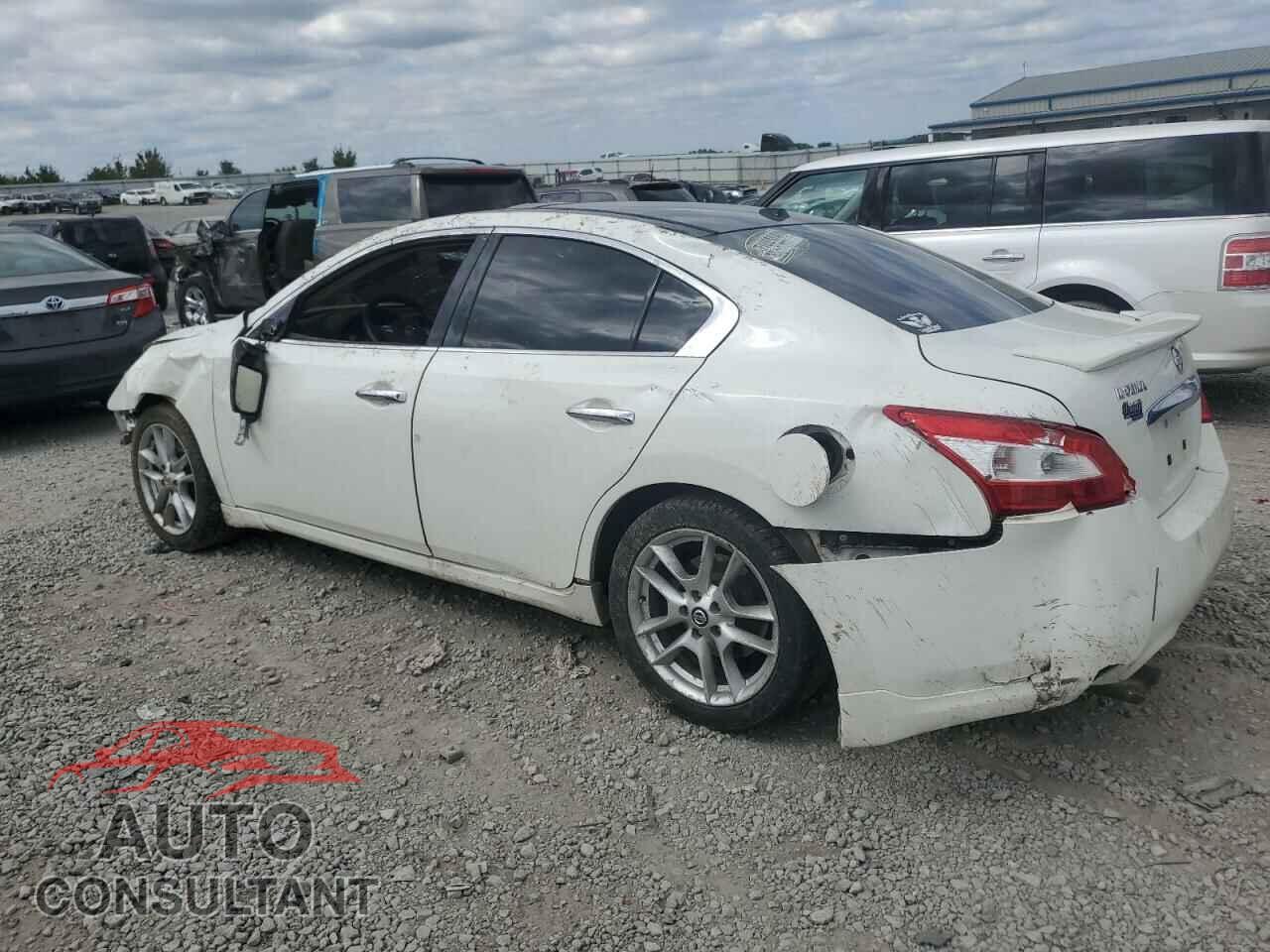 NISSAN MAXIMA 2011 - 1N4AA5AP1BC868428