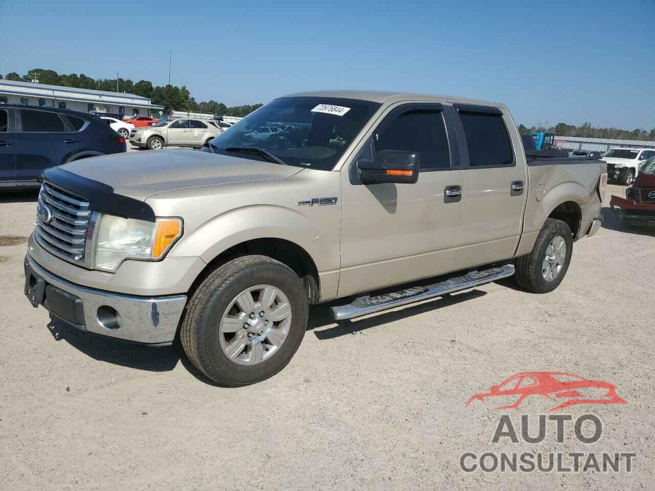 FORD F-150 2010 - 1FTFW1CV6AFD61589