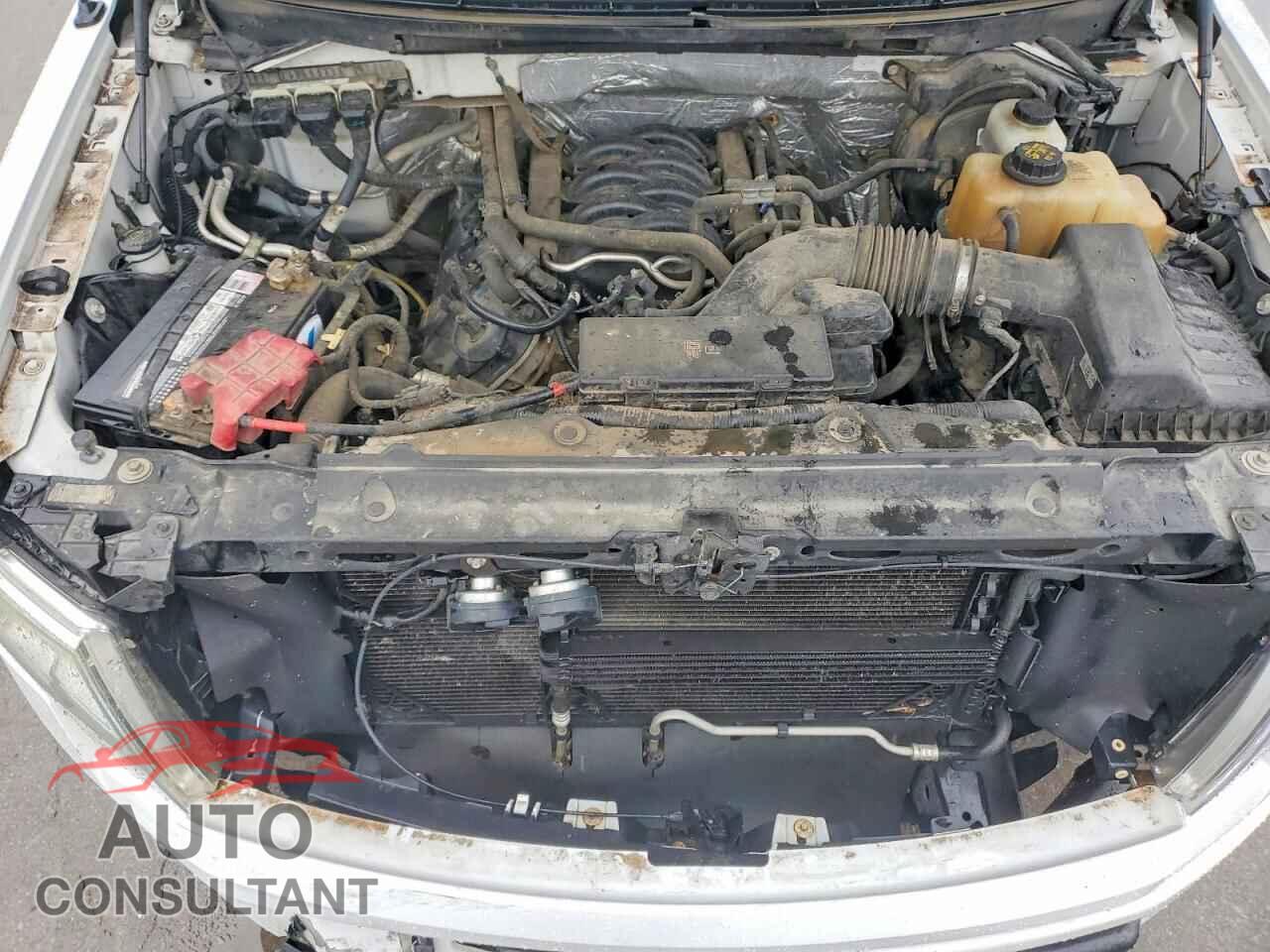 FORD F-150 2013 - 1FTFX1EF2DFA03784
