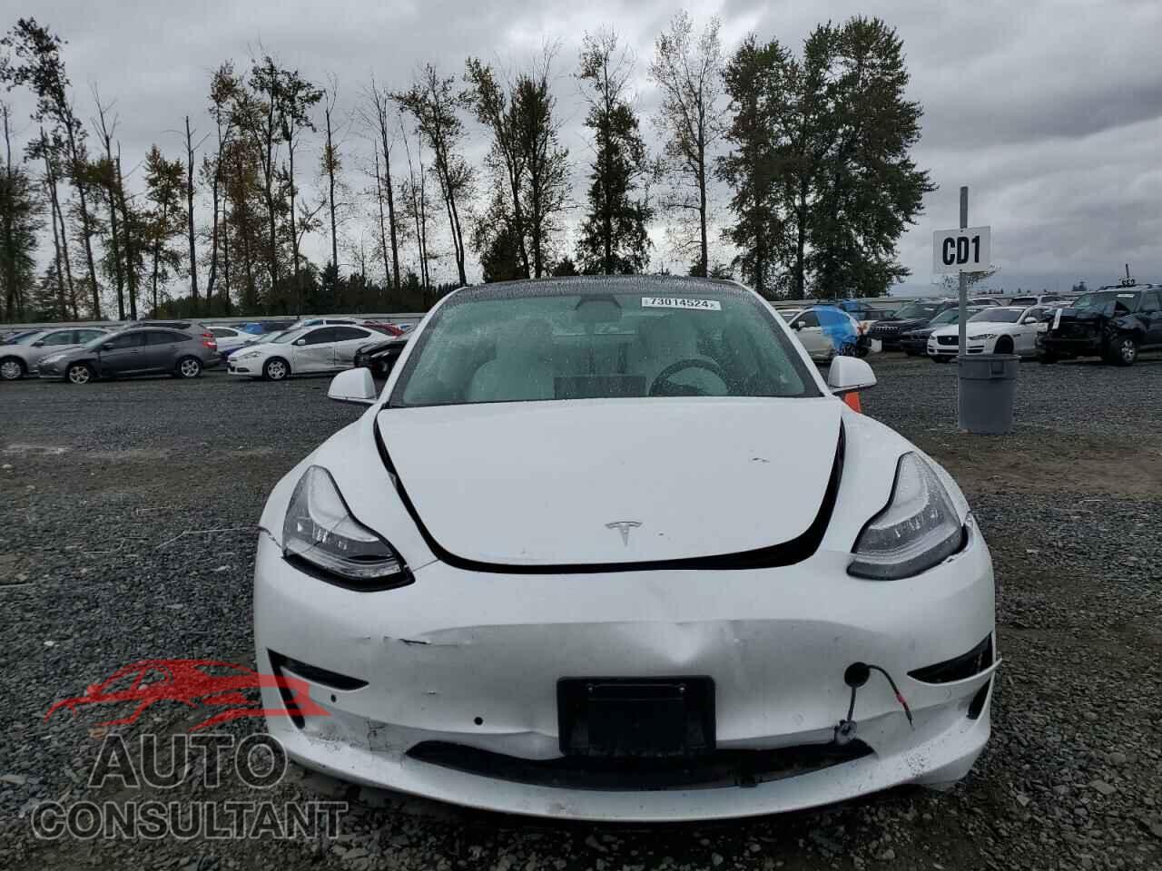 TESLA MODEL 3 2019 - 5YJ3E1EA9KF407700
