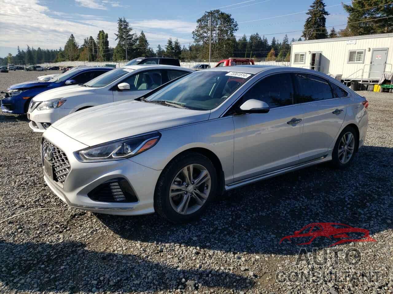 HYUNDAI SONATA 2019 - 5NPE34AF9KH814869