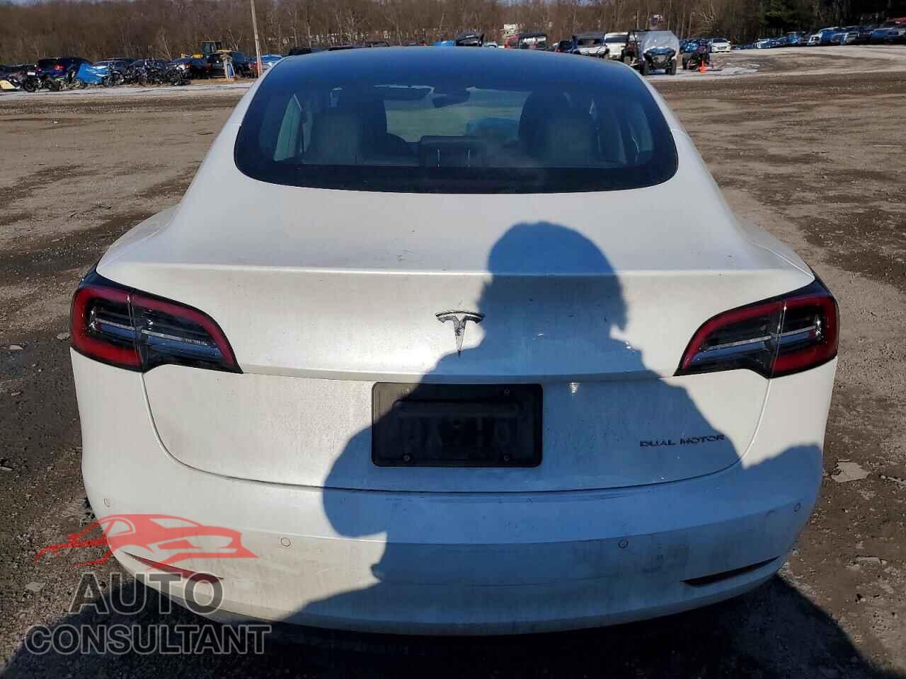 TESLA MODEL 3 2019 - 5YJ3E1EB2KF515715