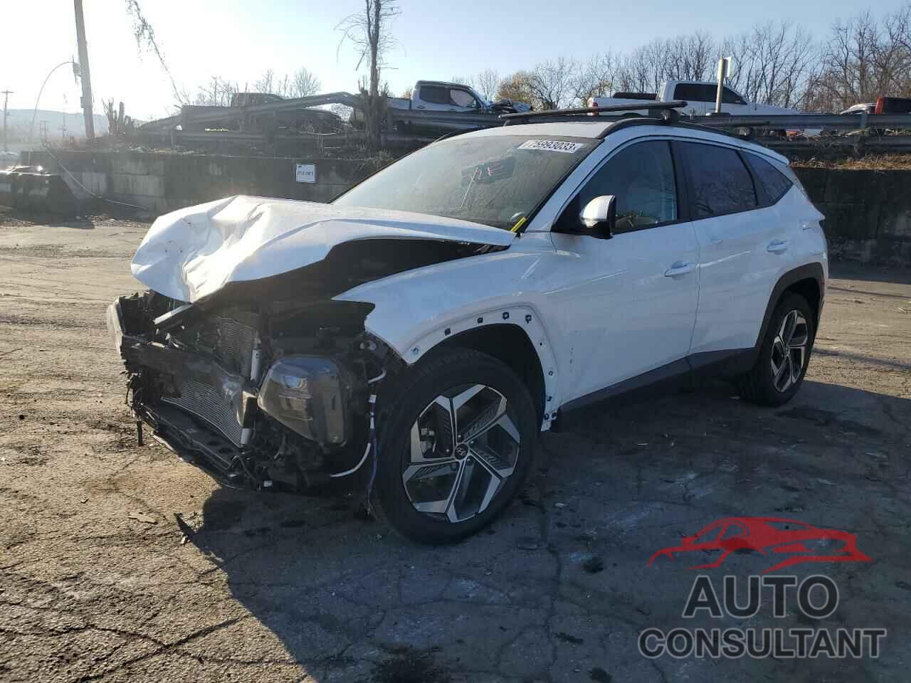 HYUNDAI TUCSON 2022 - 5NMJCCAE6NH054434