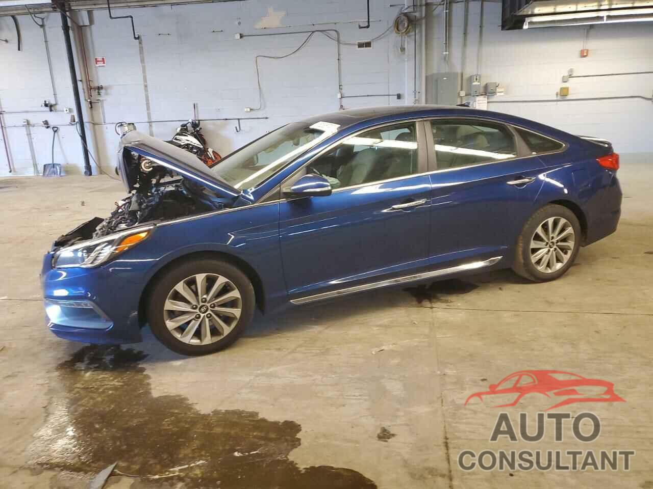 HYUNDAI SONATA 2017 - 5NPE34AF3HH566806