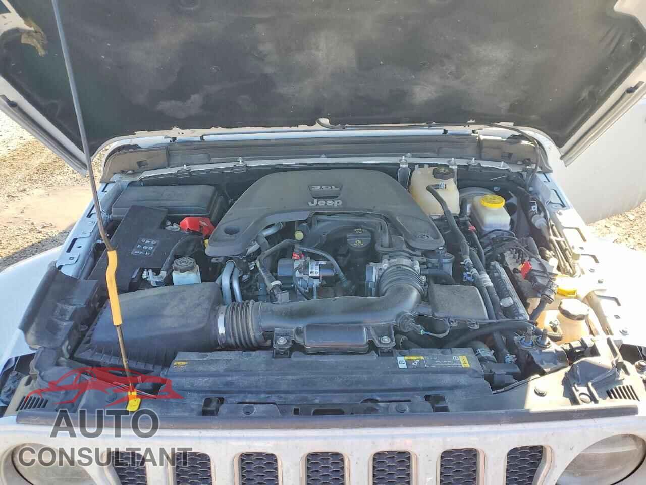 JEEP WRANGLER 2021 - 1C4HJXEG7MW582180