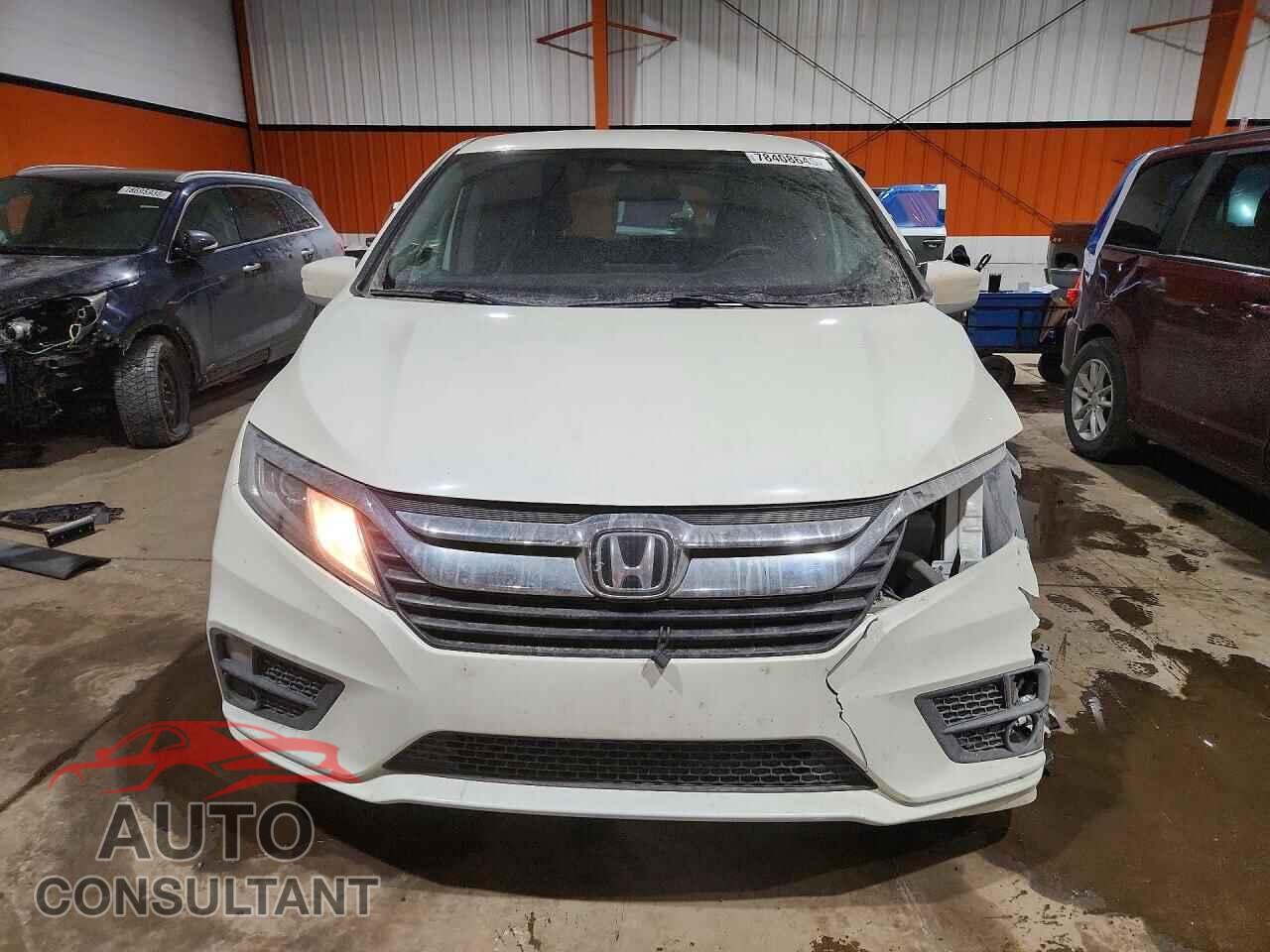 HONDA All Models 2019 - 5FNRL6H21KB503709