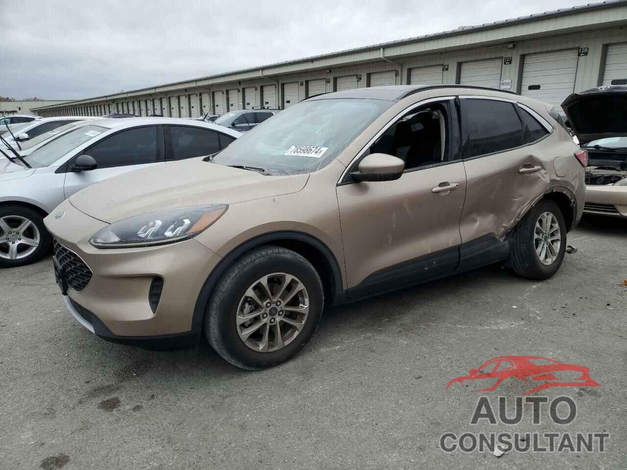 FORD ESCAPE 2020 - 1FMCU9G65LUC58068