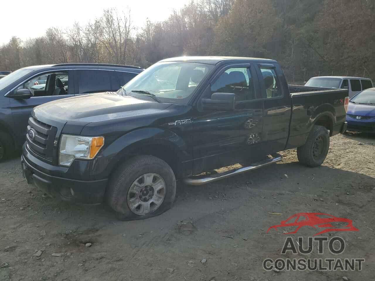 FORD F-150 2010 - 1FTEX1EW6AFD37856