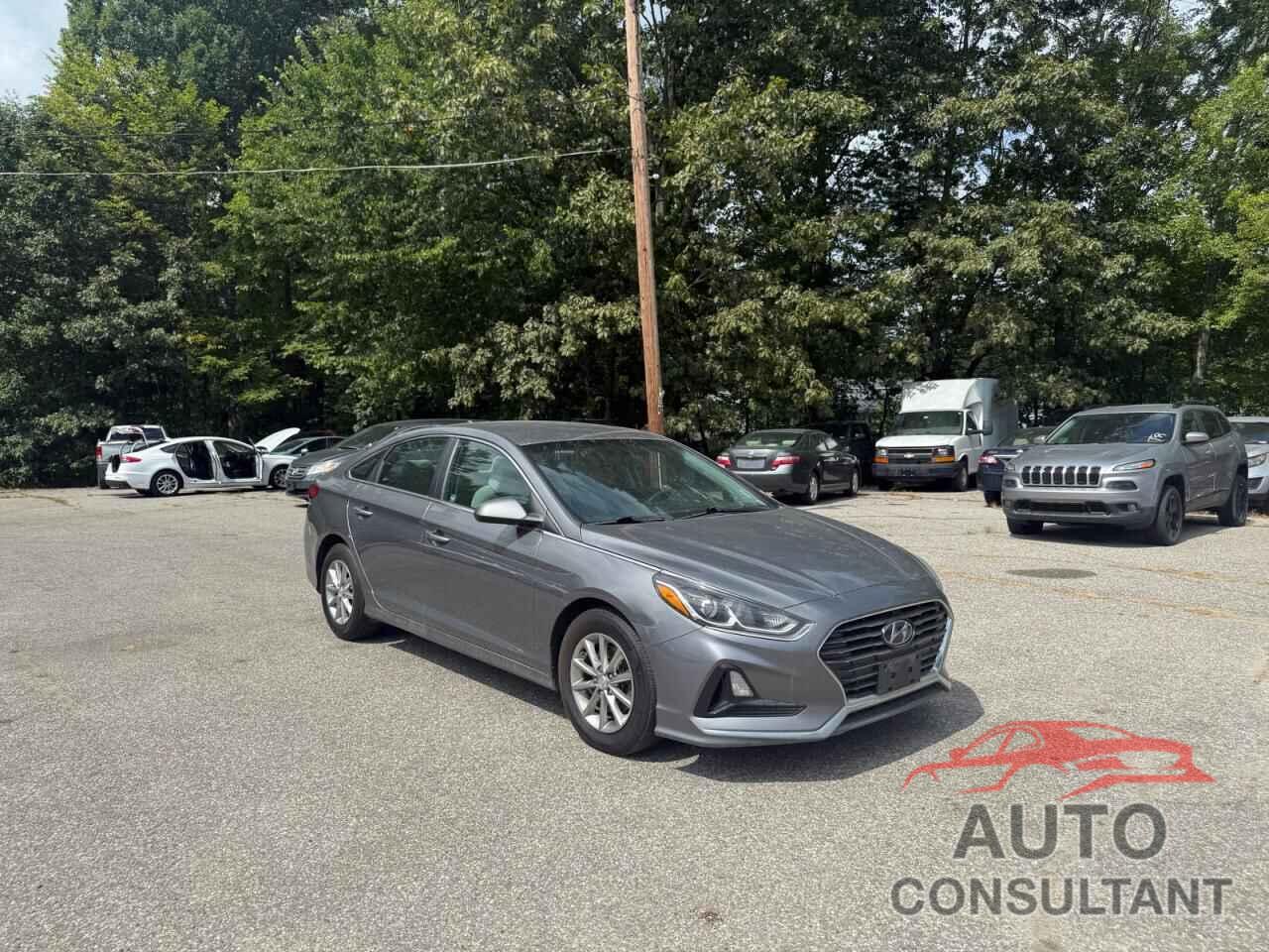 HYUNDAI SONATA 2019 - 5NPE24AF6KH762328