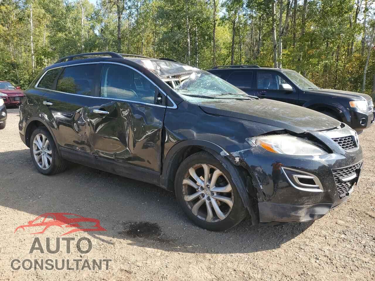 MAZDA CX-9 2011 - JM3TB3DA2B0316912