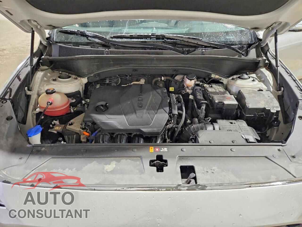 HYUNDAI SANTA FE 2023 - 5NMS2DAJ5PH623559