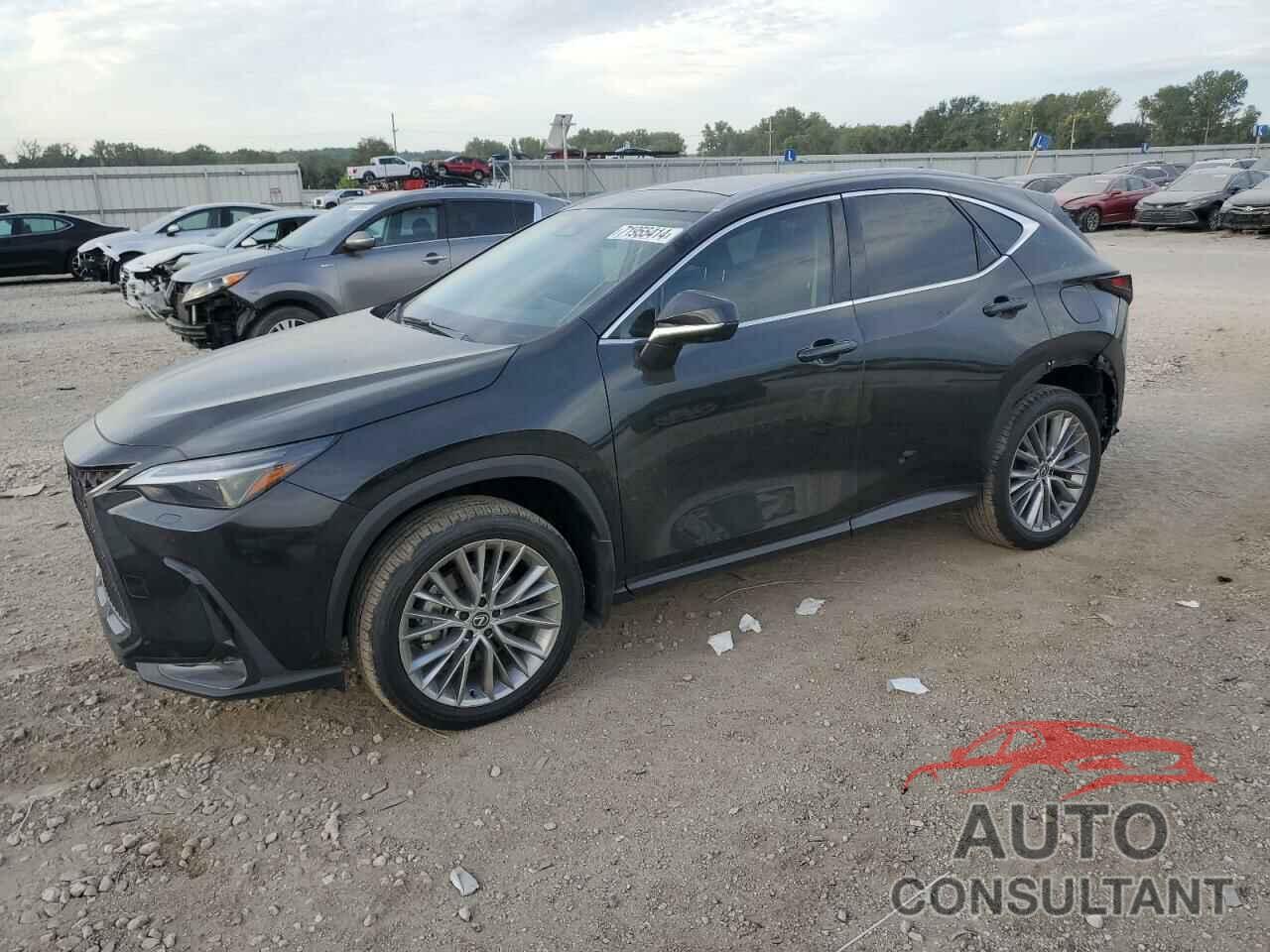 LEXUS NX 350 LUX 2024 - 2T2HGCEZ6RC051878