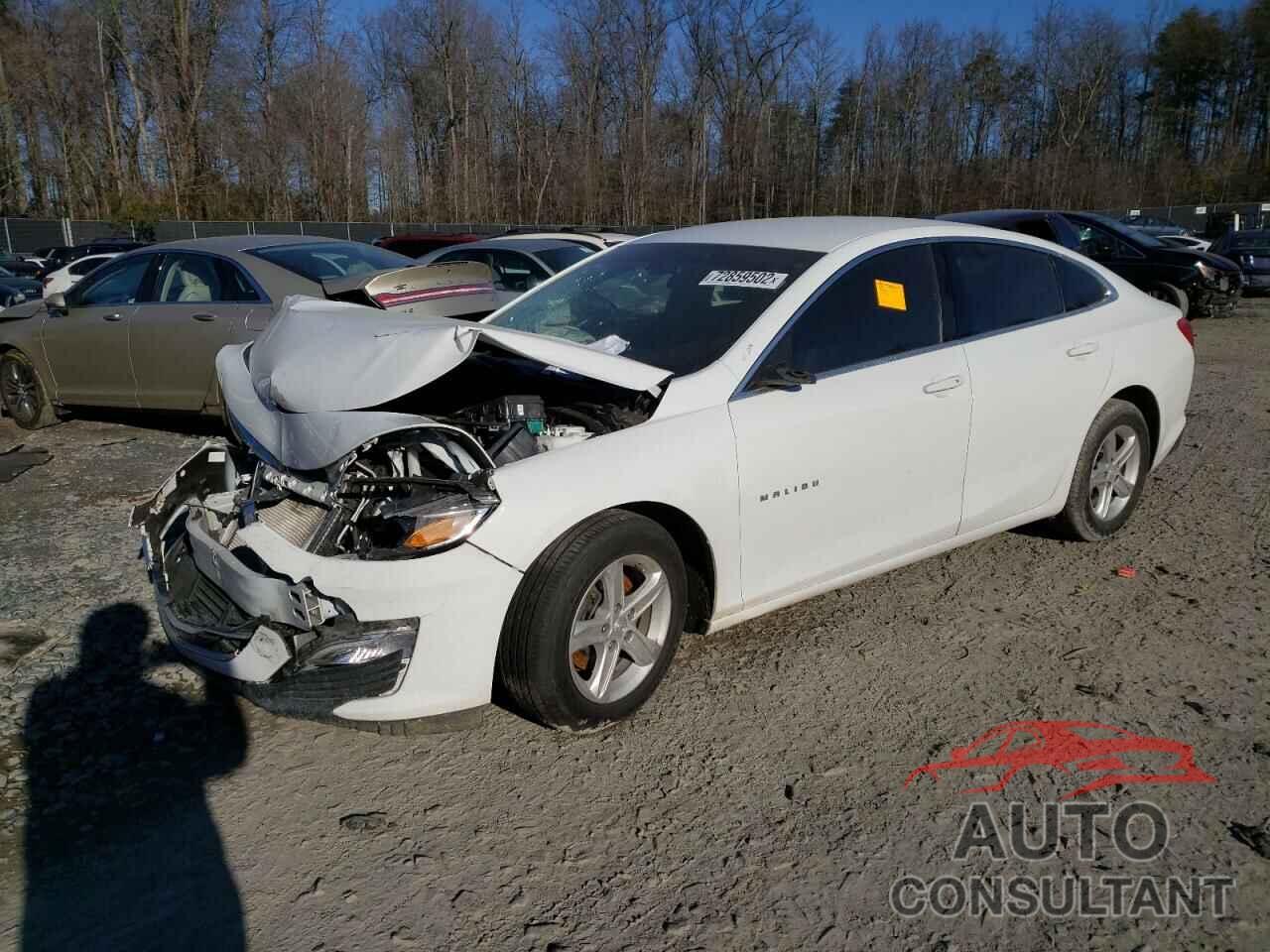 CHEVROLET MALIBU 2020 - 1G1ZB5ST5LF022866