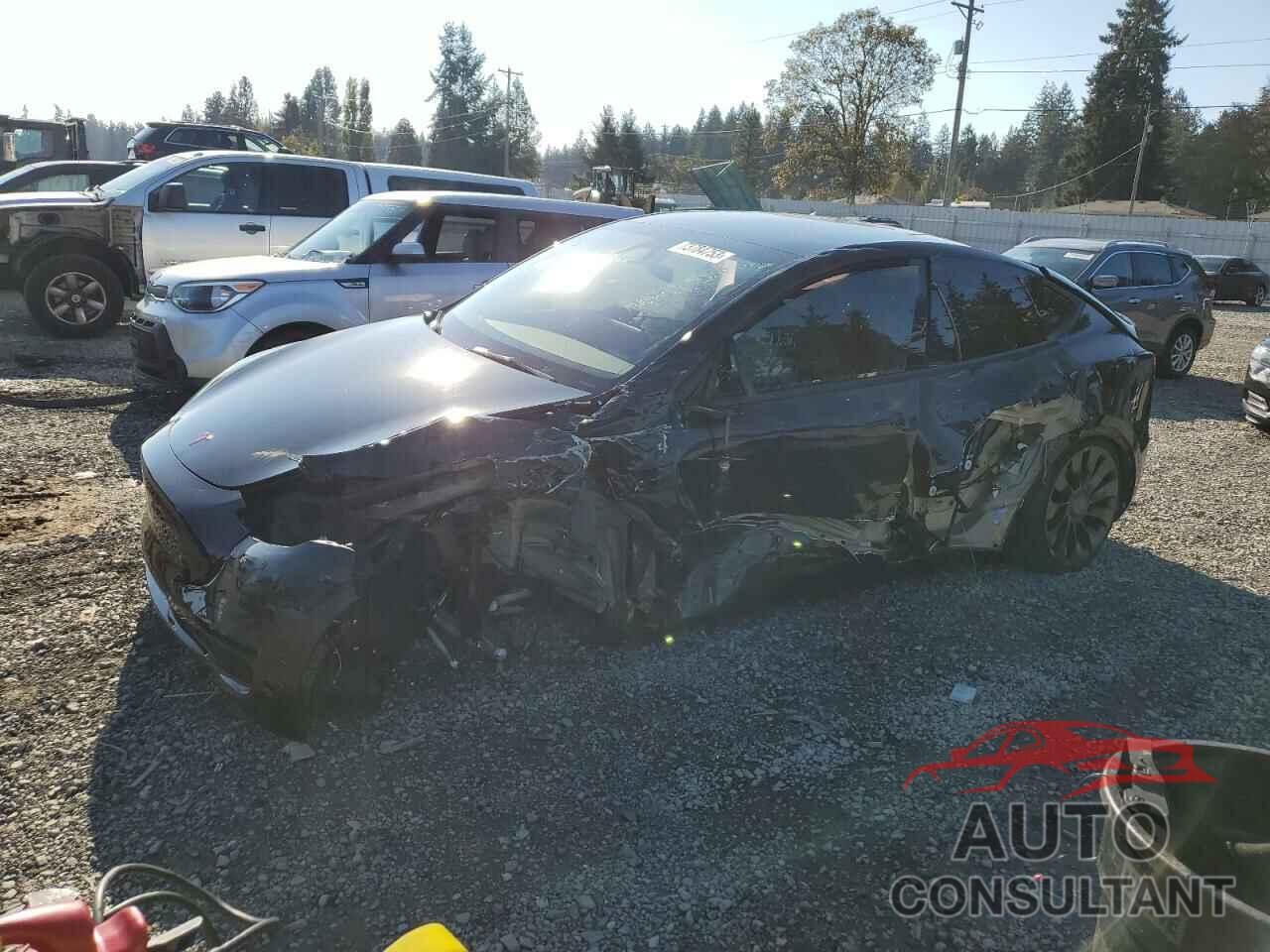 TESLA MODEL Y 2023 - 7SAYGDEF2PF838483