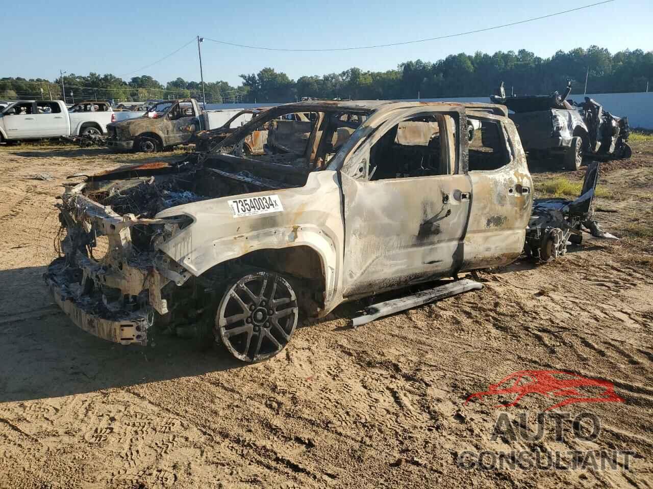 TOYOTA TACOMA 2024 - 3TYLB5JN4RT029109