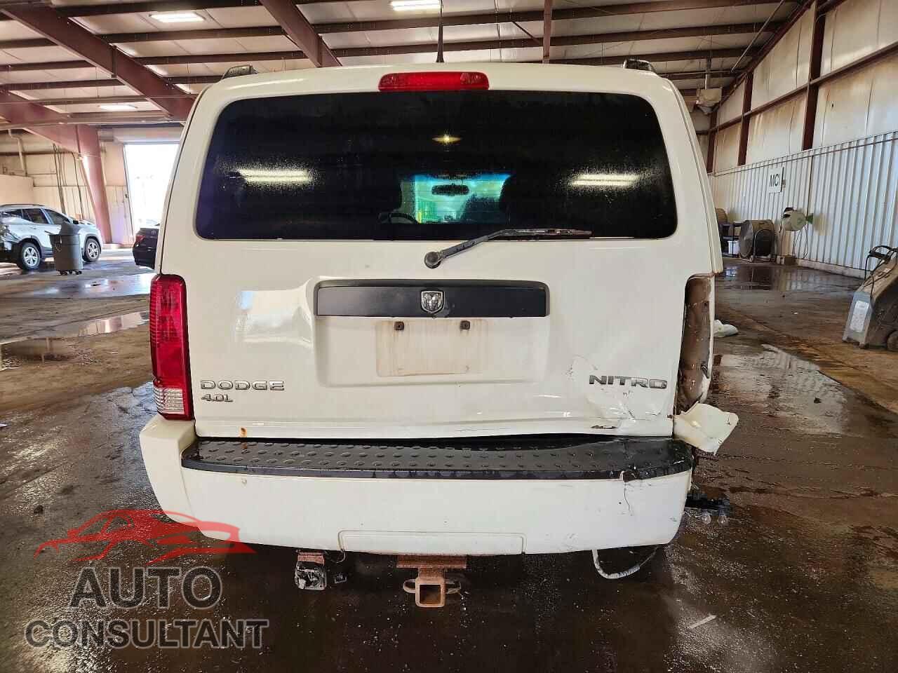 DODGE NITRO 2011 - 1D4PU4GX6BW568351
