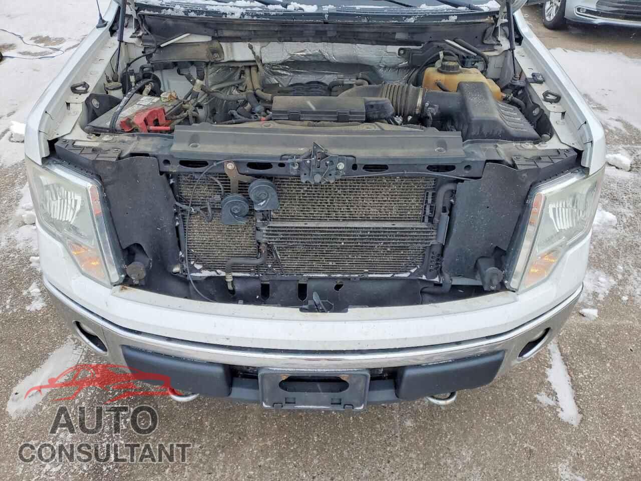 FORD F-150 2011 - 1FTFX1EF6BFA73687