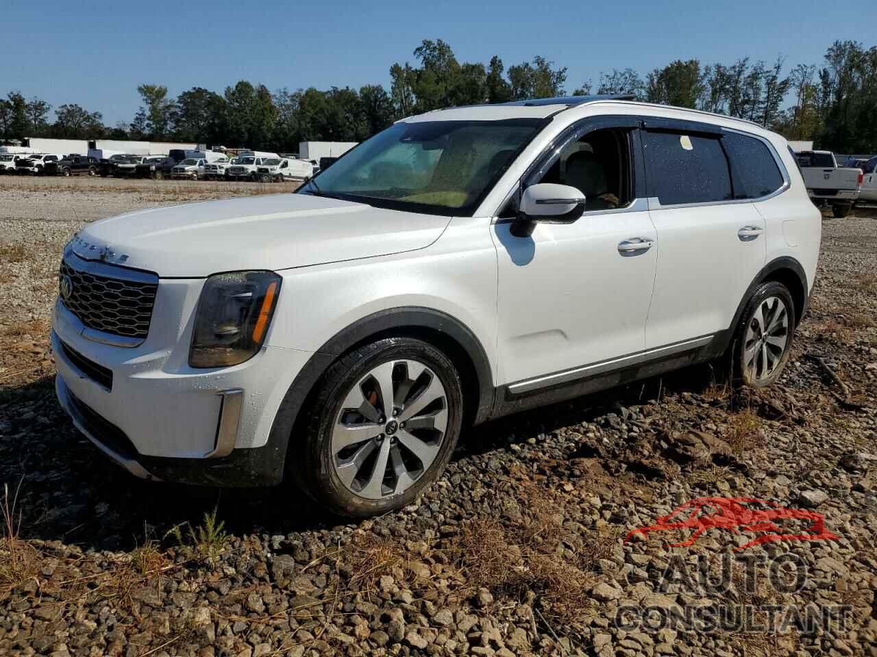 KIA TELLURIDE 2020 - 5XYP64HC1LG009842