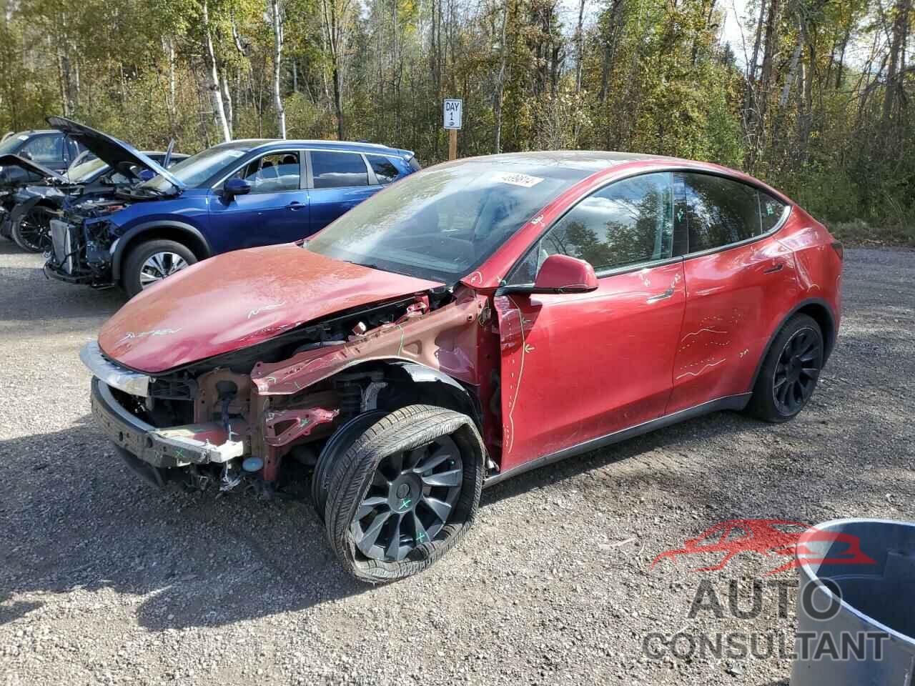 TESLA MODEL Y 2023 - 7SAYGAEEXPF635119