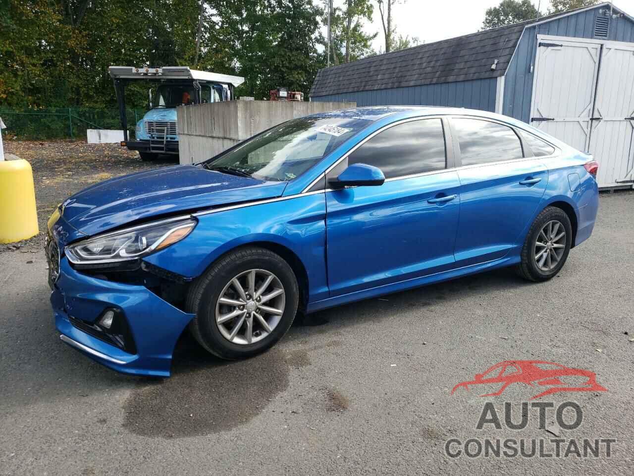 HYUNDAI SONATA 2019 - 5NPE24AF6KH759333