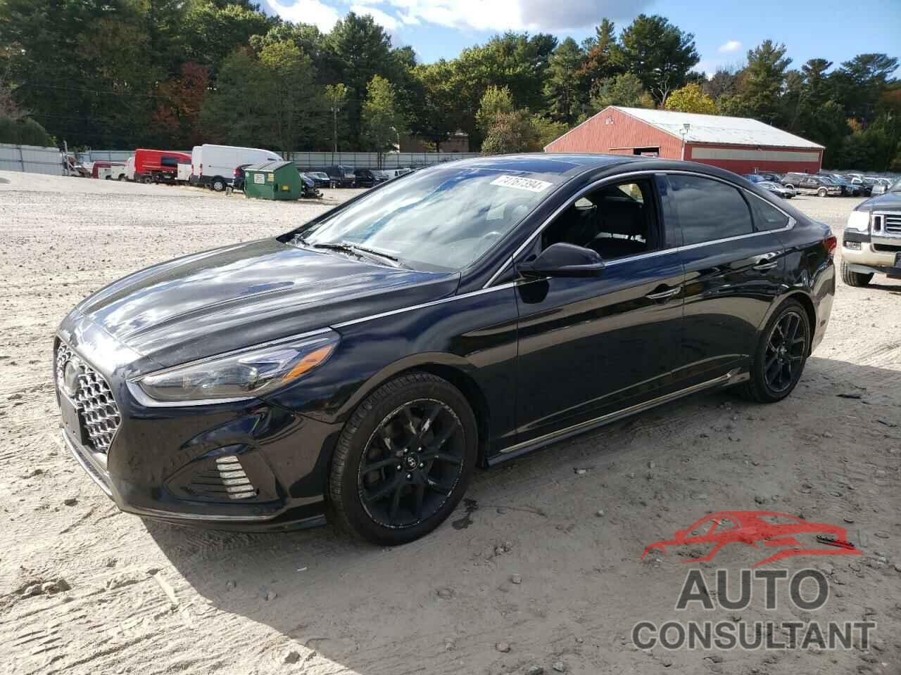 HYUNDAI SONATA 2019 - 5NPE34AB3KH733864