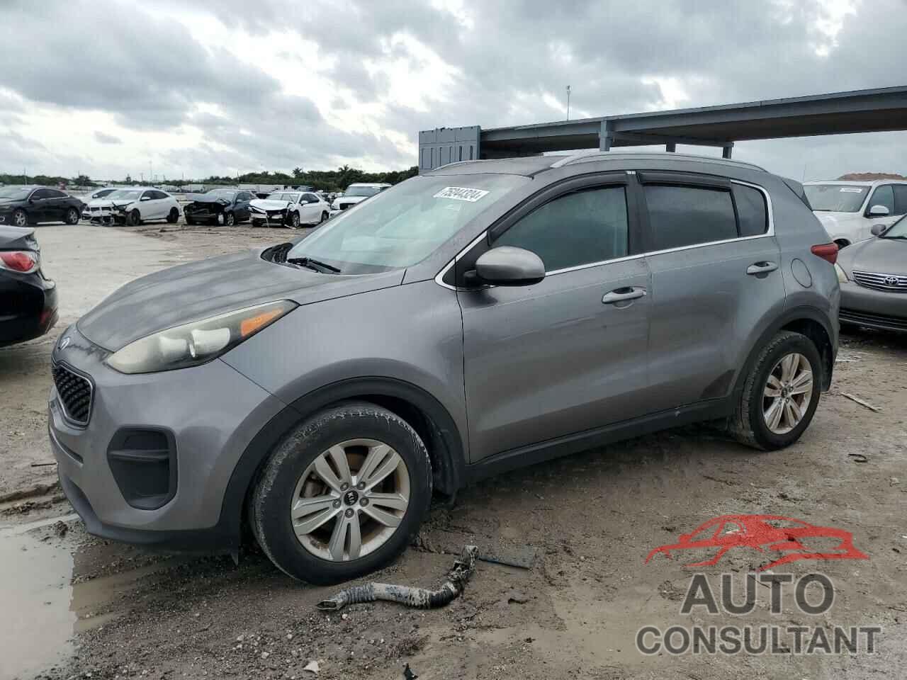 KIA SPORTAGE 2017 - KNDPM3AC4H7208303