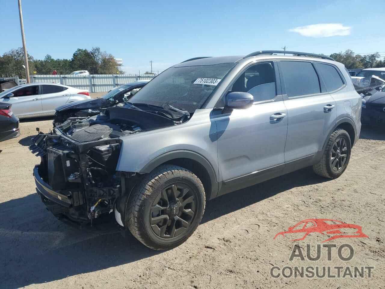 KIA TELLURIDE 2024 - 5XYP5DGC6RG429416