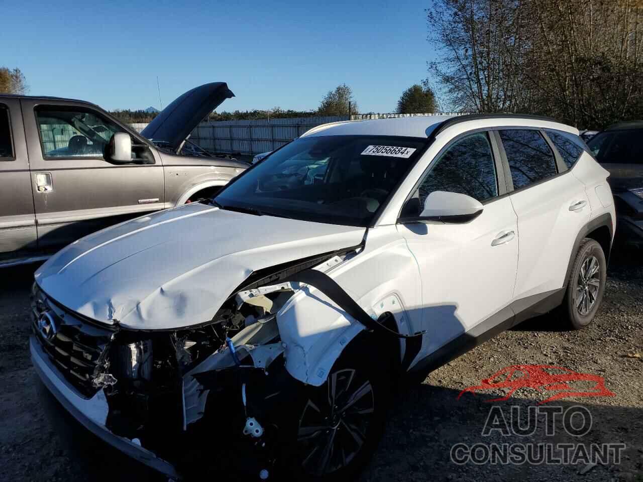 HYUNDAI TUCSON 2024 - KM8JBCD11RU244020