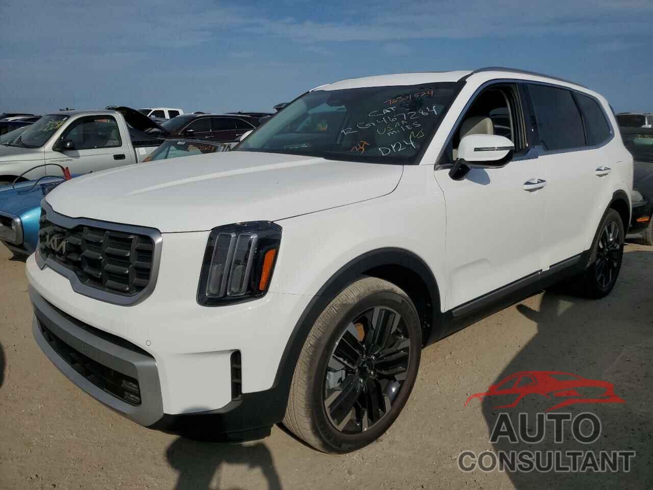 KIA TELLURIDE 2024 - 5XYP5DGC7RG467284