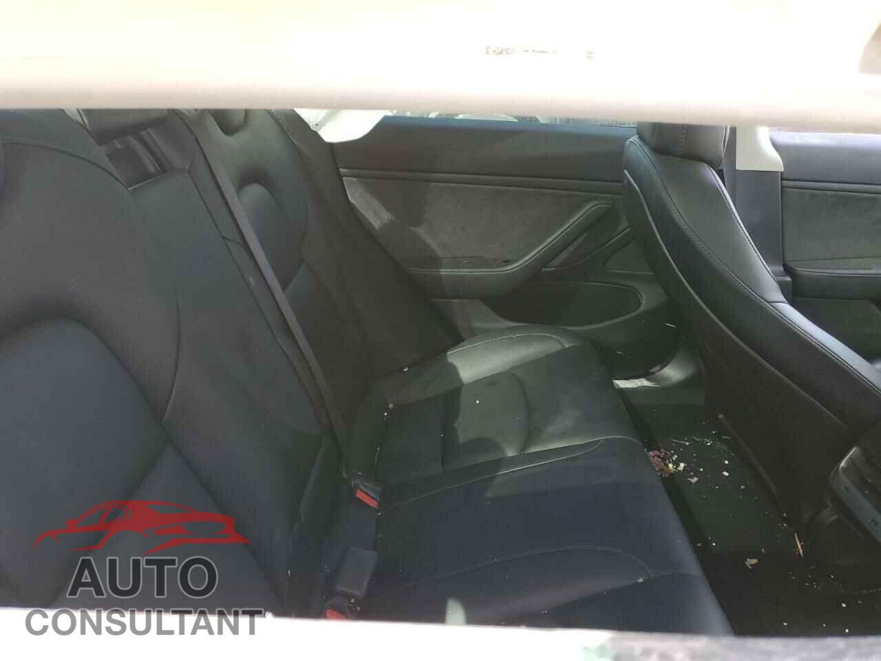 TESLA MODEL 3 2019 - 5YJ3E1EA0KF480227