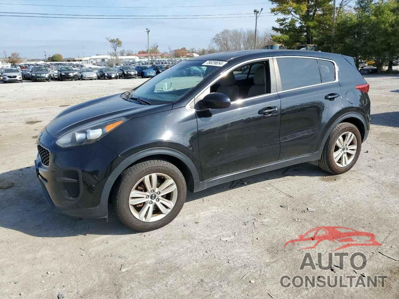 KIA SPORTAGE 2017 - KNDPM3AC9H7217546